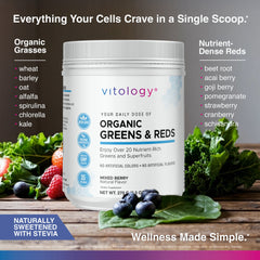 Greens & Reds Superfood Powder