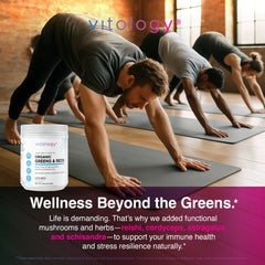 Greens & Reds Superfood Powder